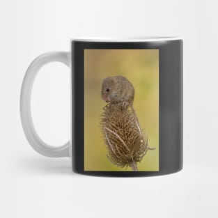 Harvest mouse on teasal Mug